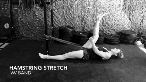 Hamstring Stretch – Stretch Authority